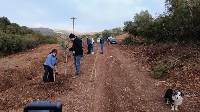Δενδροφύτευση Στόλο Κυνουρίας