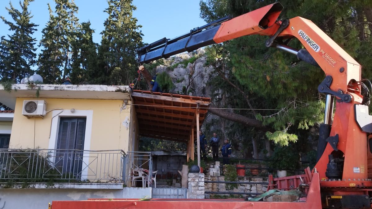 Ναύπλιο: Κινητοποίηση της Πολιτικής Προστασίας για παροχή συνδρομής μετά από πτώση δέντρου