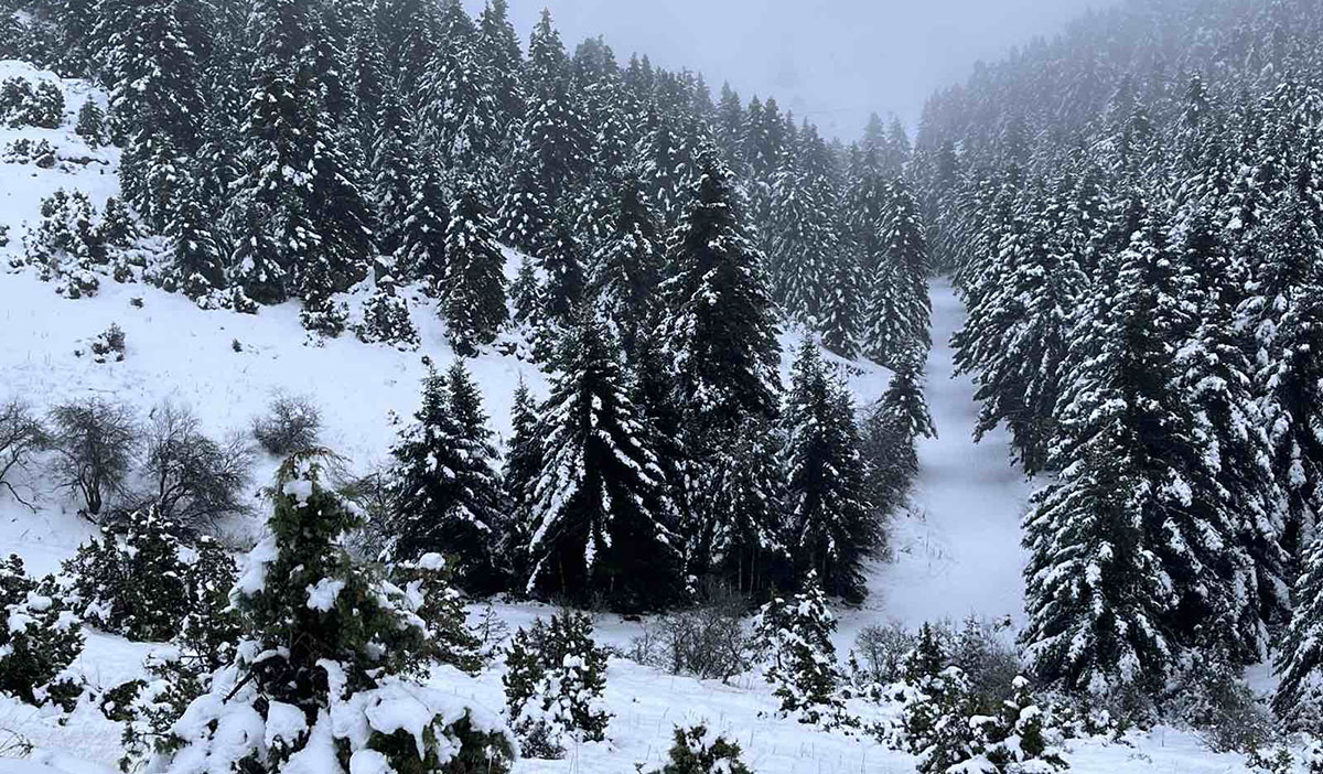 Καιρός: Έρχονται χιόνια και βροχές στην ανατολική Πελοπόννησο