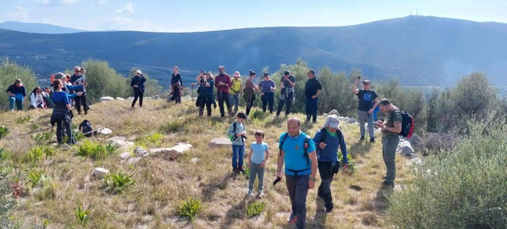 Επισκέπτες Αρκαδικό Επιδαύρου (2)