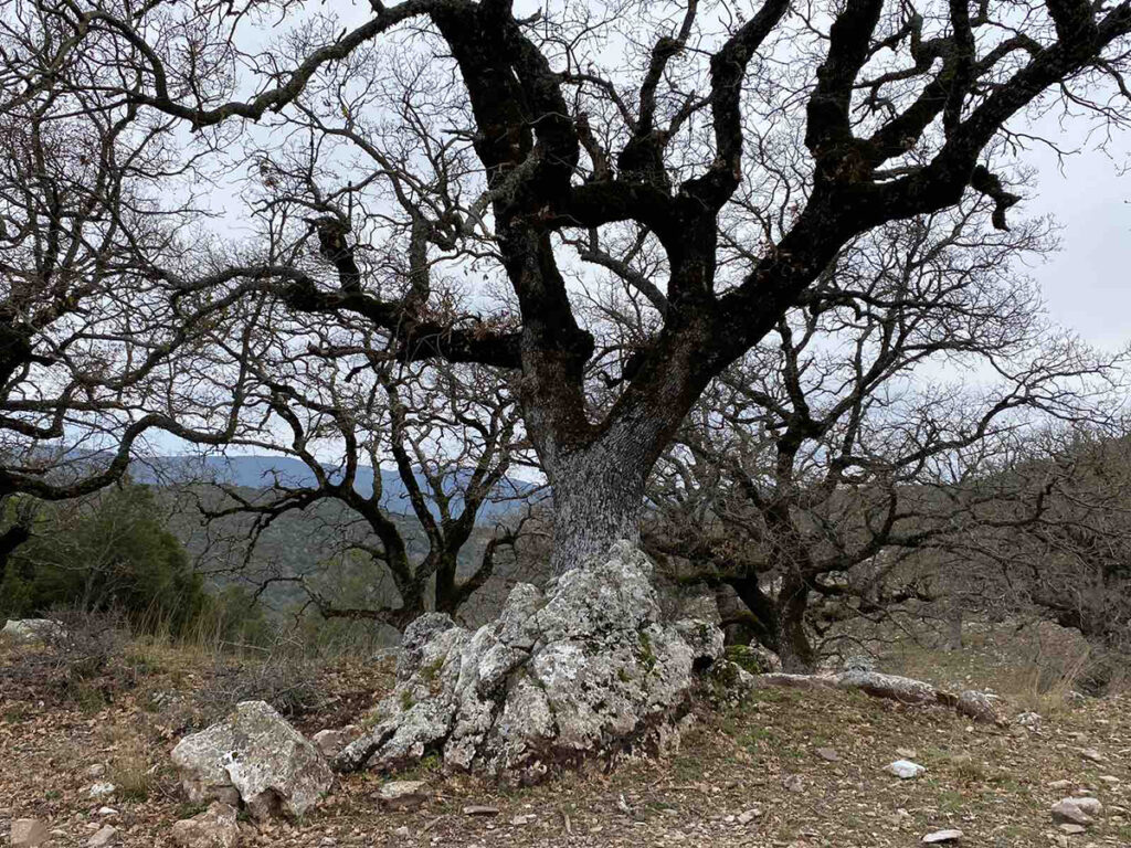 Πεζοπορία στην άγνωστη Μεσσηνία (7)