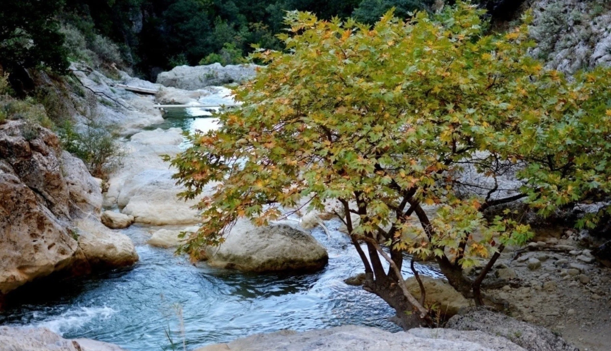 Φαράγγι Αγίου Λουκά: Μια άγνωστη όαση στην Κορινθία για extreme sports και εξορμήσεις στη φύση