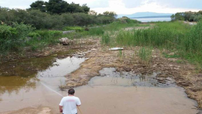 Ναύπλιο: Με ψεκασμούς αντιμετωπίζουν το πρόβλημα με τα κουνούπια