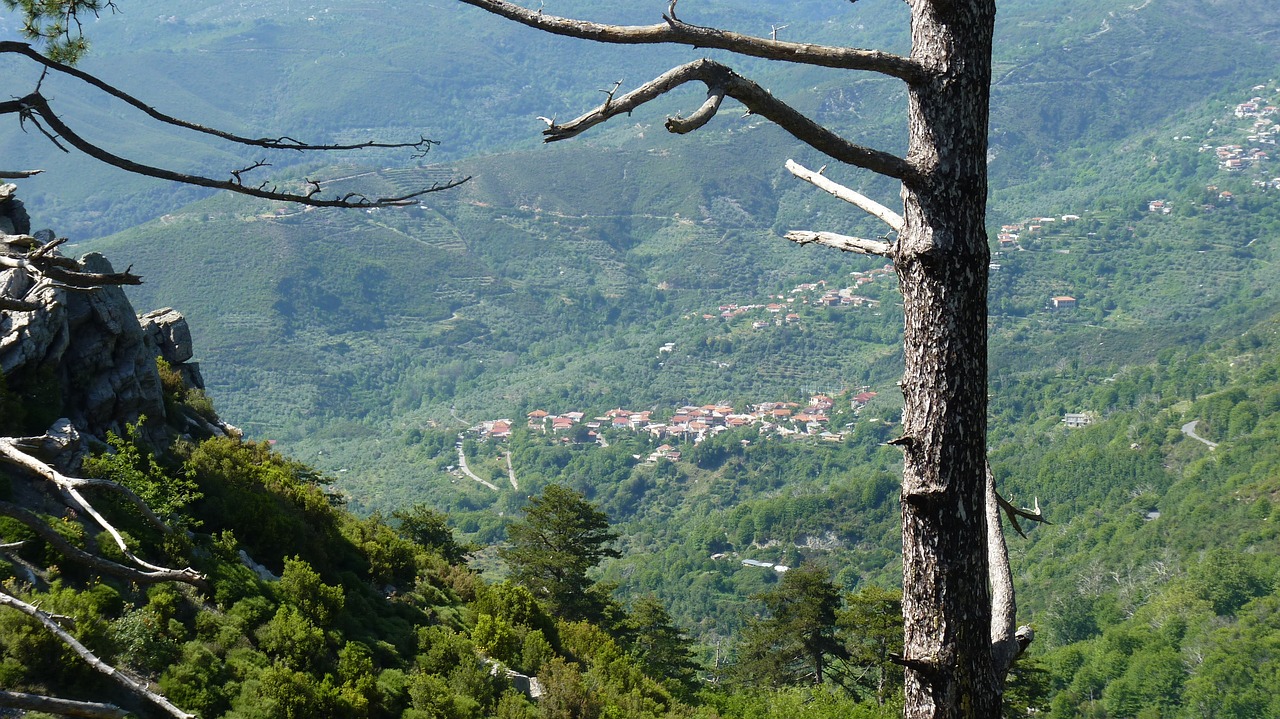 Έρχονται μελέτες για τη διαχείριση των δασών της Πελοποννήσου