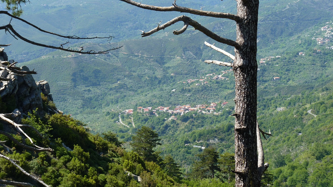 mountains dasos peloponnisos