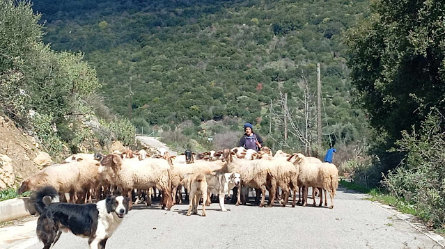 Εξερευνώντας δύο άσημα χωριά της Μεσσηνίας