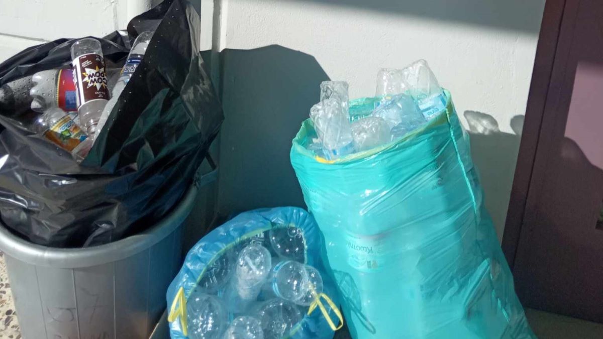 Το ΓΕΛ Αγίας Τριάδας μαζεύει πλαστικά μπουκάλια για να βοηθήσει τα αδέσποτα ζώα