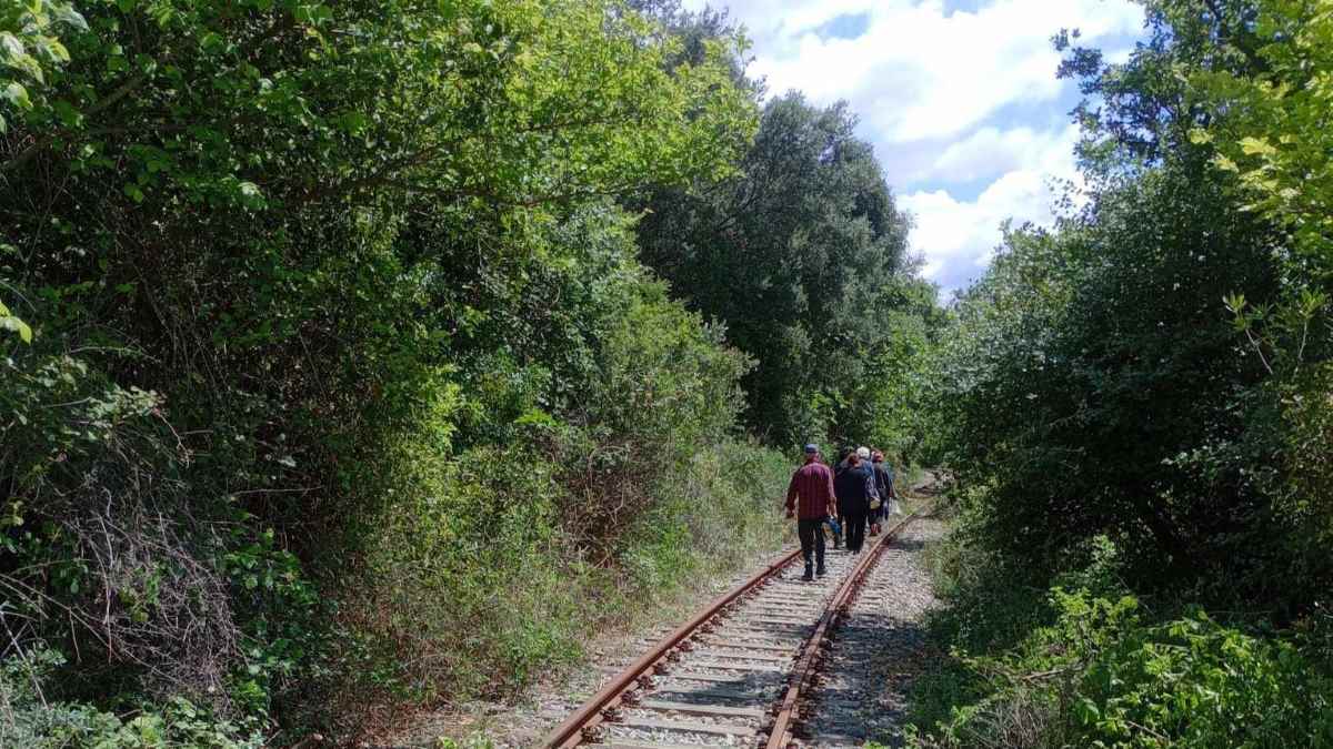 Μεσσηνία: Μία νέα όμορφη πεζοπορική διαδρομή στον Δεσύλλα