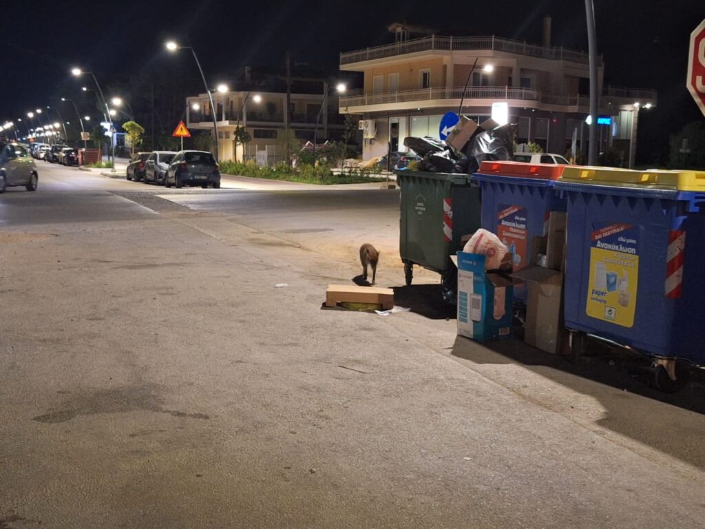 alepou nafplio vrady (7)