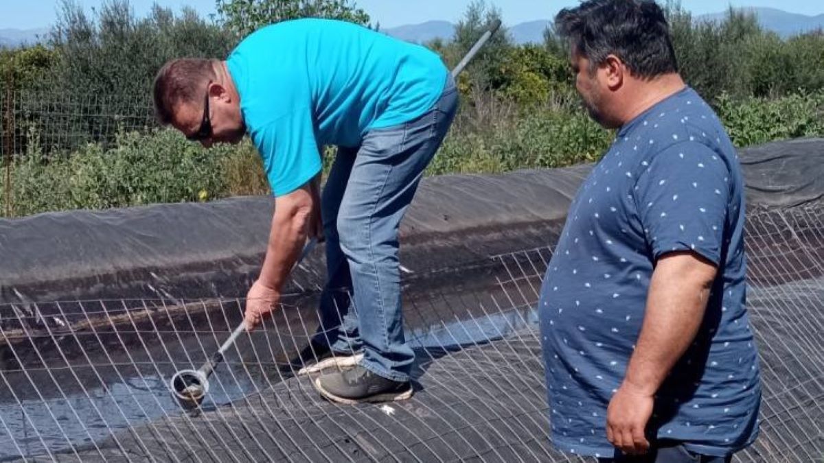 Συνεχίζεται η μάχη με τα κουνούπια στον Δήμο Ναυπλιέων