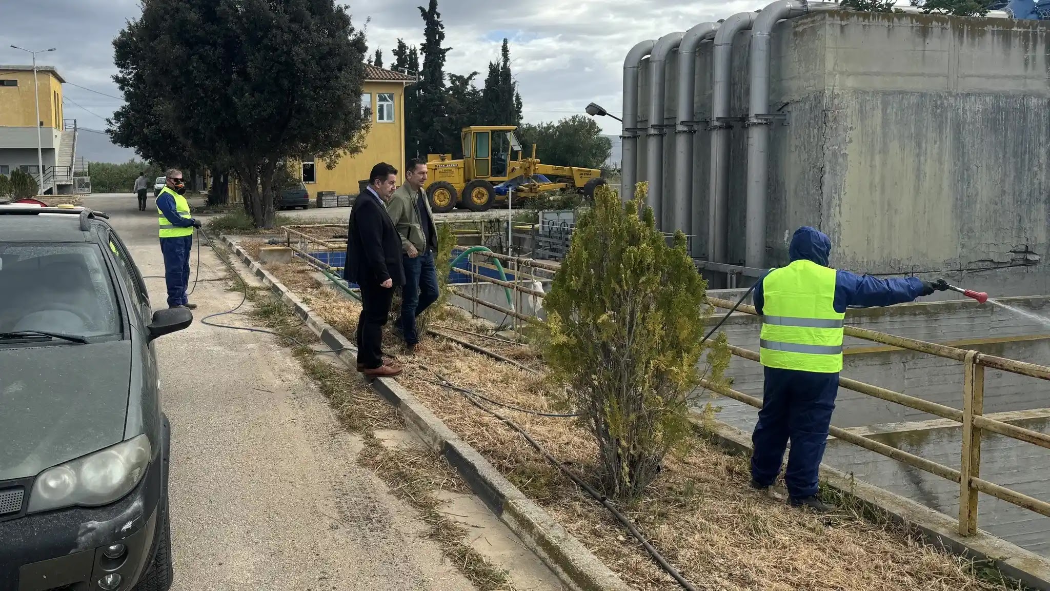 Μαλτέζος κουνουποκτονία