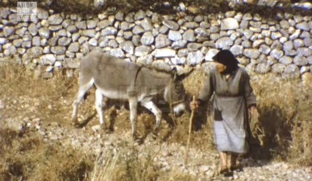 Σπάνιο βίντεο: Πώς ήταν η Λακωνική Μάνη πριν 50 χρόνια