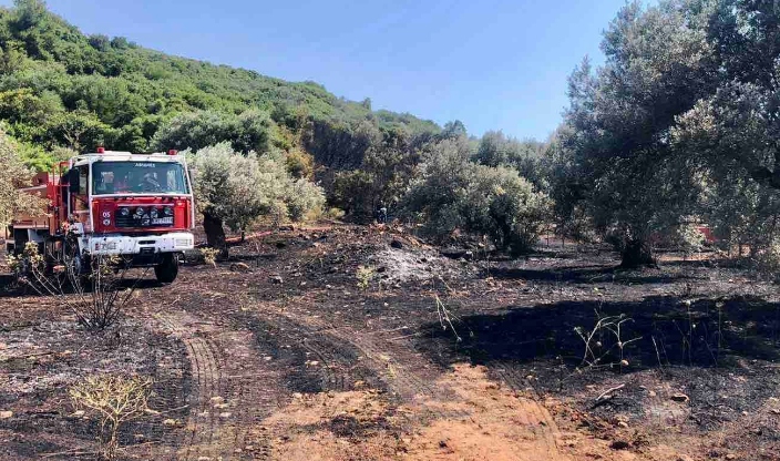 Σπάρτη: Σύλληψη για πυρκαγιά και πρόστιμο