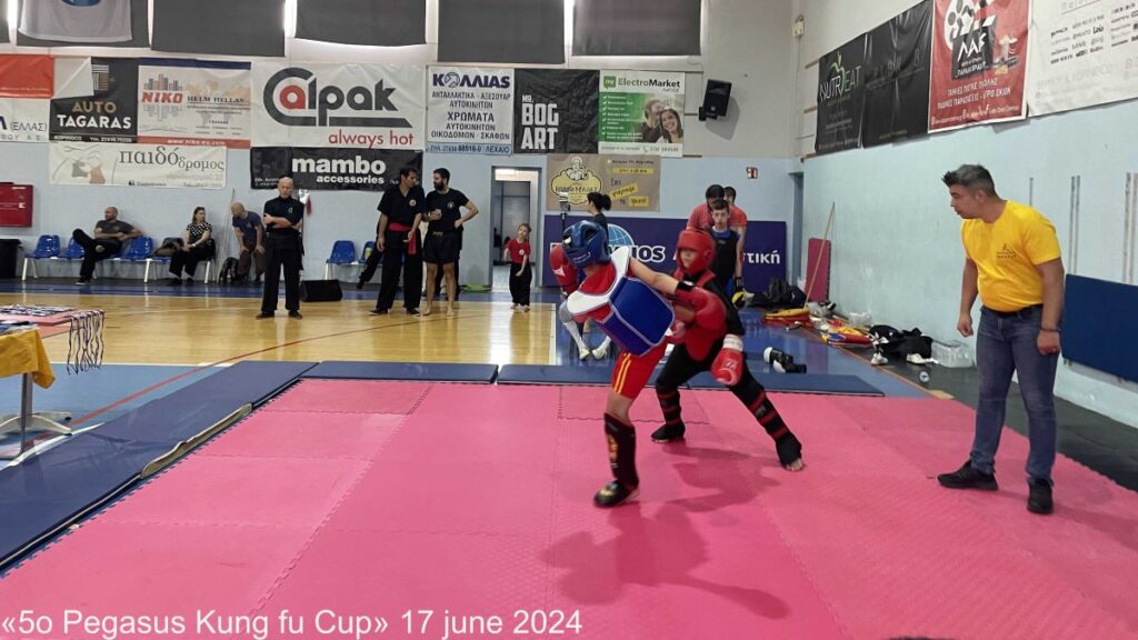 5ο pegasus kung fu cup choy lee fut 6