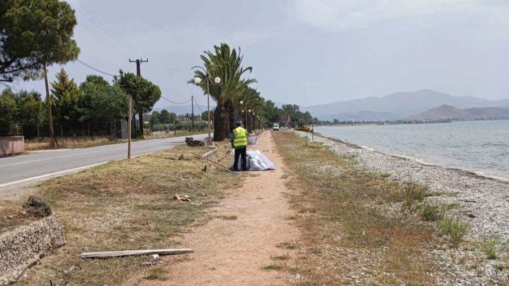 dimos argous kathariotita 5