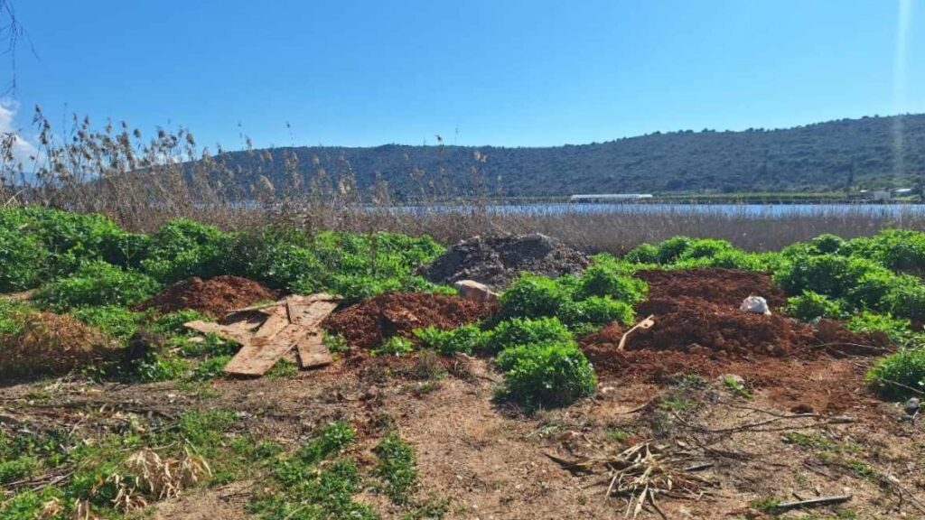 Βιβάρι: Σκουπιδότοπος στη λιμνοθάλασσα
