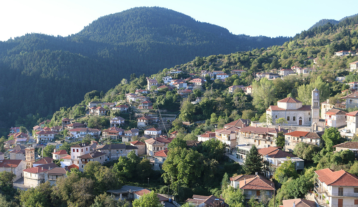 Κοινωνικό Παντοπωλείο στο δήμο Γορτυνίας