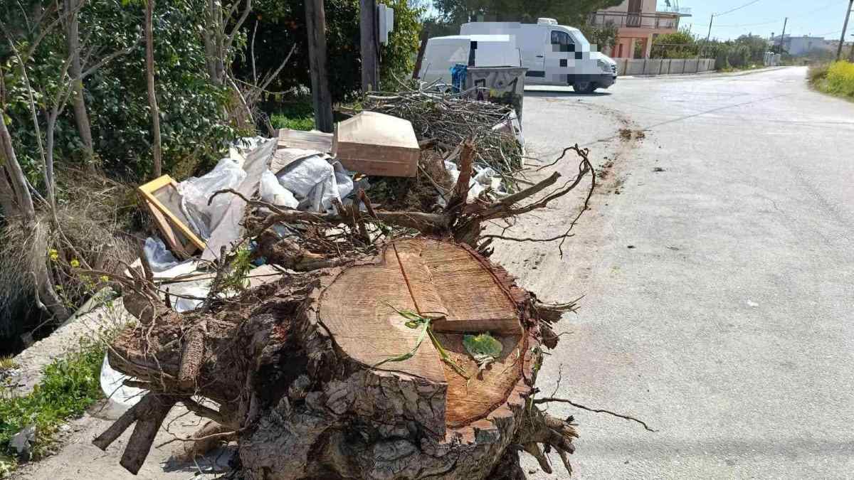 Έξαλλος ο δήμος Άργους Μυκηνών με τους παραβάτες και τα μπάζα