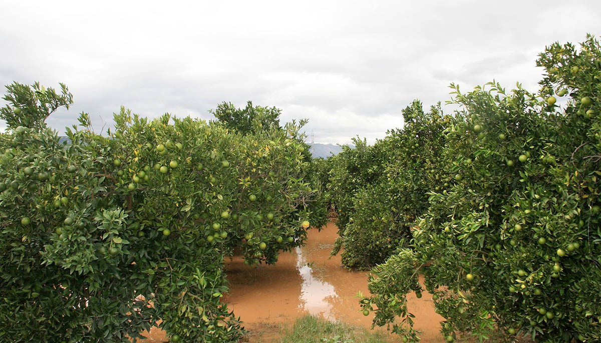 Δυνατή νεροποντή «έπνιξε» τους Μολάους – Όχημα παρασύρθηκε από τη βροχή