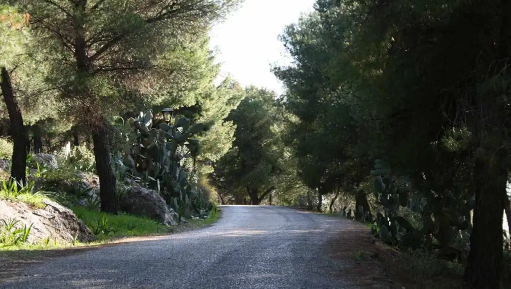 profitis ilias lofos aspidas argos (1)