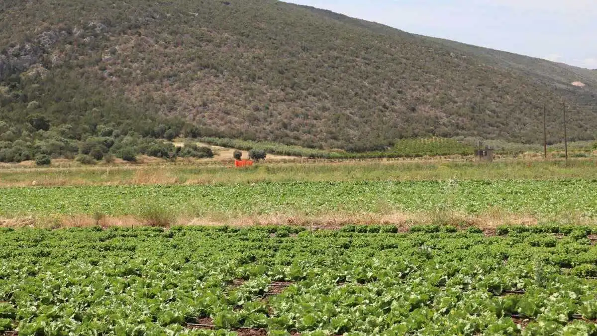 Πεζοπορία στα Ίρια Αργολίδας: μια αυθεντική εμπειρία με τη φύση και την ιστορία