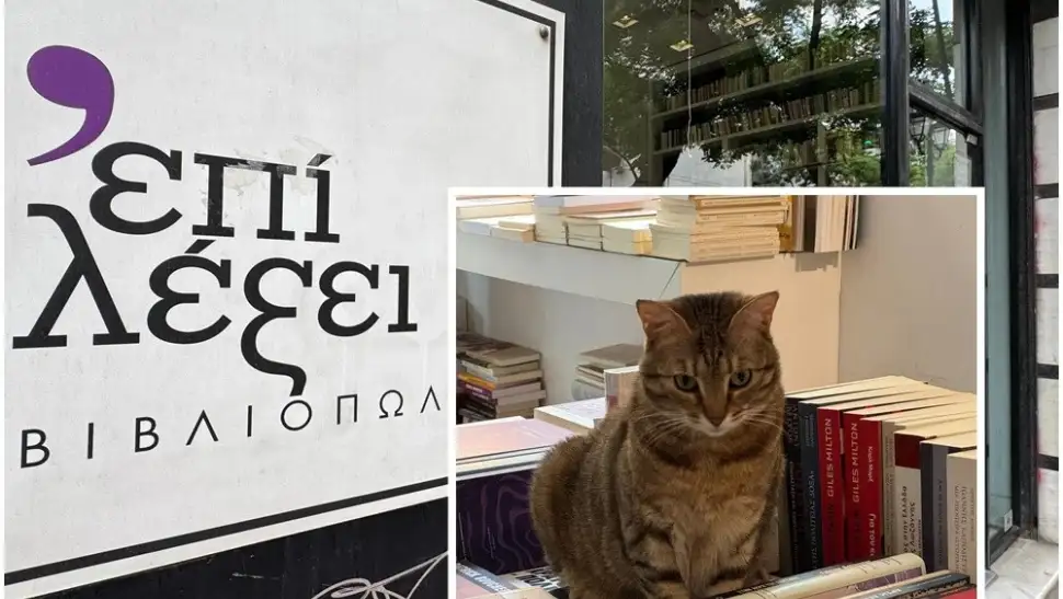 «Επί Λέξει»: Ο Flash στο ιστορικό βιβλιοπωλείο που βάζει λουκέτο – Το «αντίο» της βουρκωμένης Μαρίας