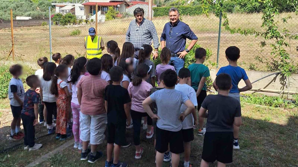 Ελιές και ροδιές στις αυλές των σχολείων του Δήμου Άργους – Μυκηνών