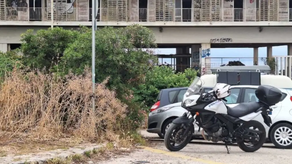 ΔΙΑΣ Αστυνομία