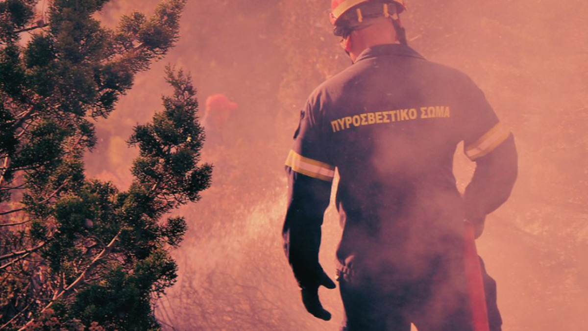 Πυρκαγιά στο Νεοχώρι Αργολίδας: Μεγάλη κινητοποίηση επίγειων και εναέριων δυνάμεων