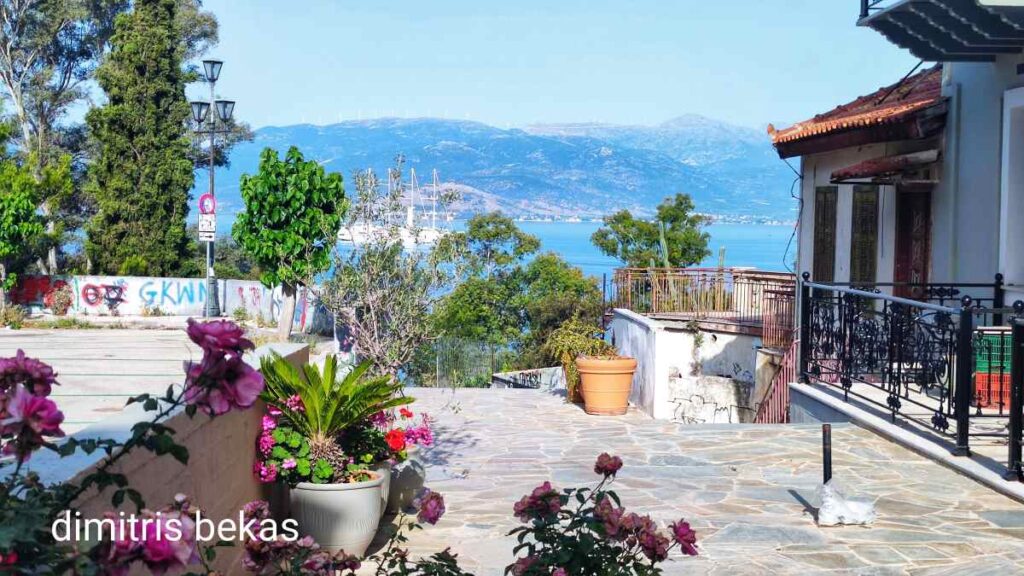 Ιστιοφόρο