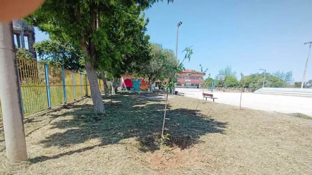 Καθαρισμός Νέα Κίο