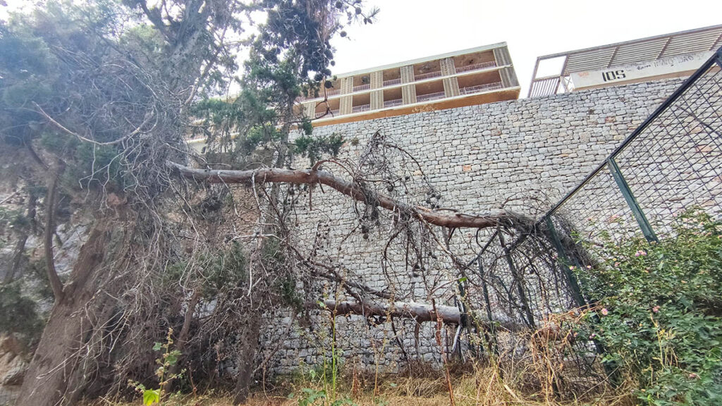 Πεσμένα δέντρα στην Αρβανιτιά Ναυπλίου