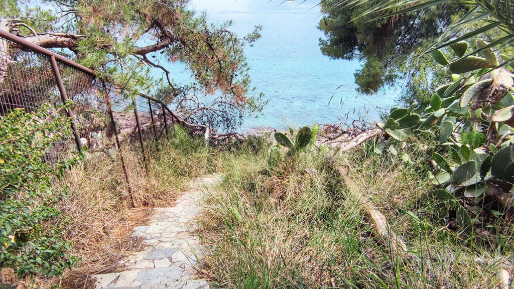 Πεσμένα δέντρα στην Αρβανιτιά Ναυπλίου