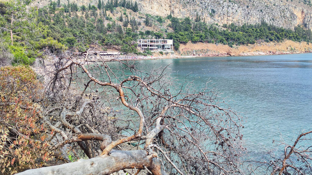Πεσμένα δέντρα στην Αρβανιτιά Ναυπλίου