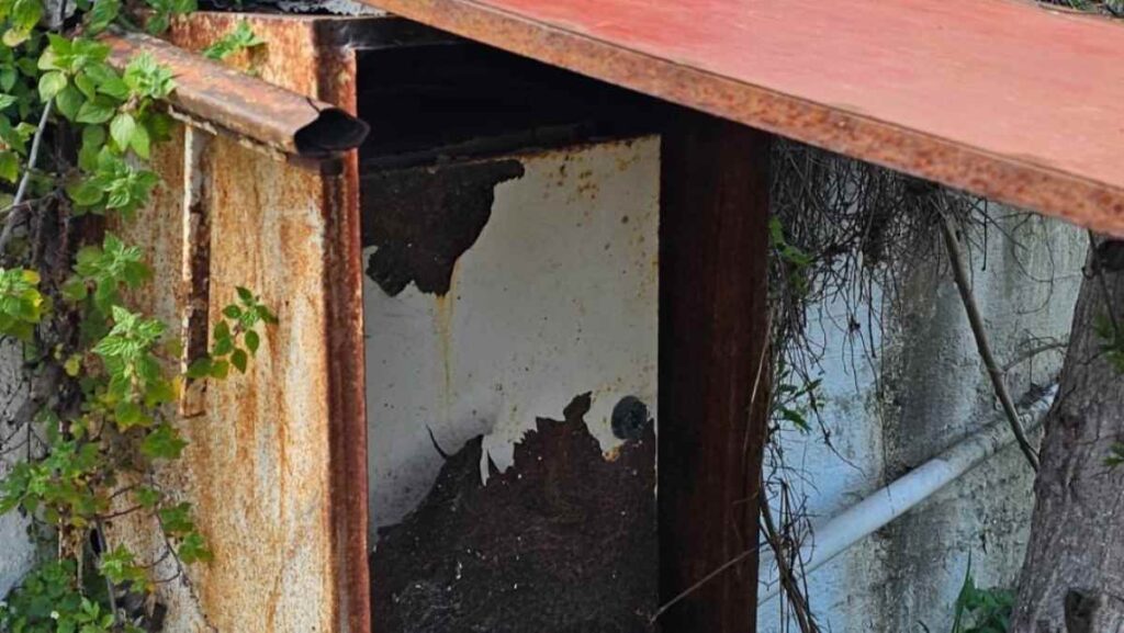 Σάπιος ηλεκτρολογικός πίνακας στο Γυμνό