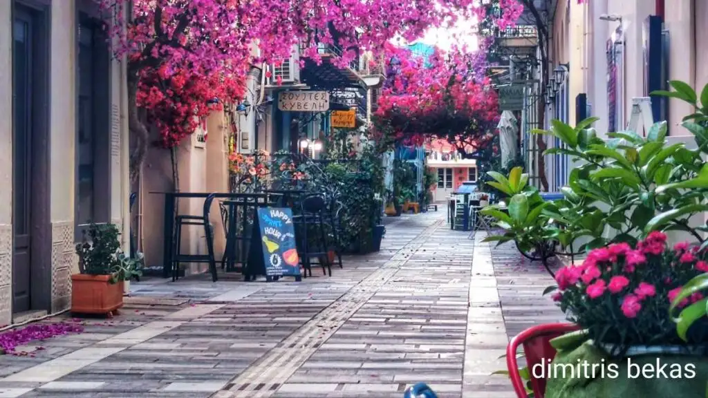 Βουκαμβίλιες στο Ναύπλιο