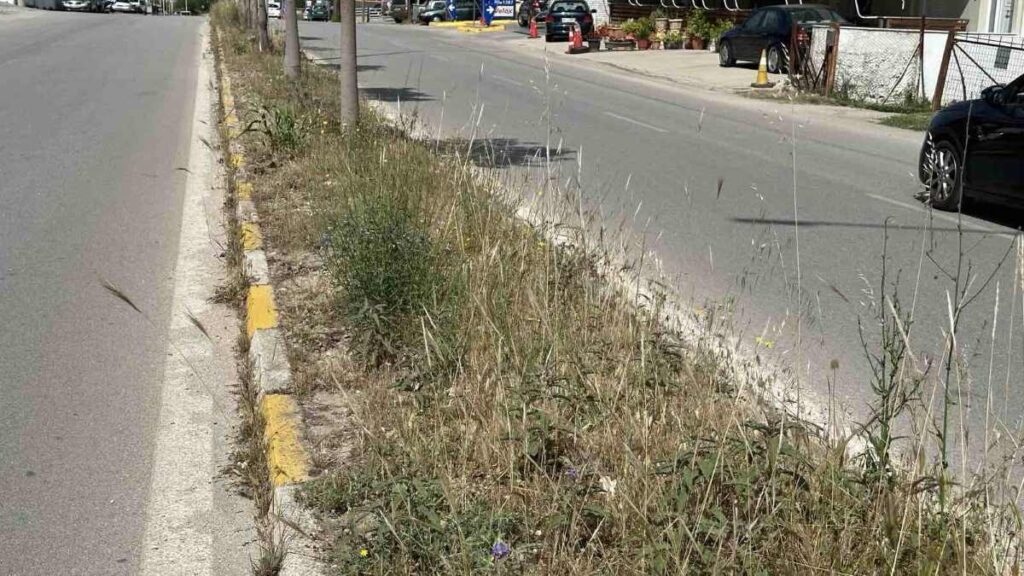 χορτάρια στην λεωφόρο Ασκληπιού Άρια