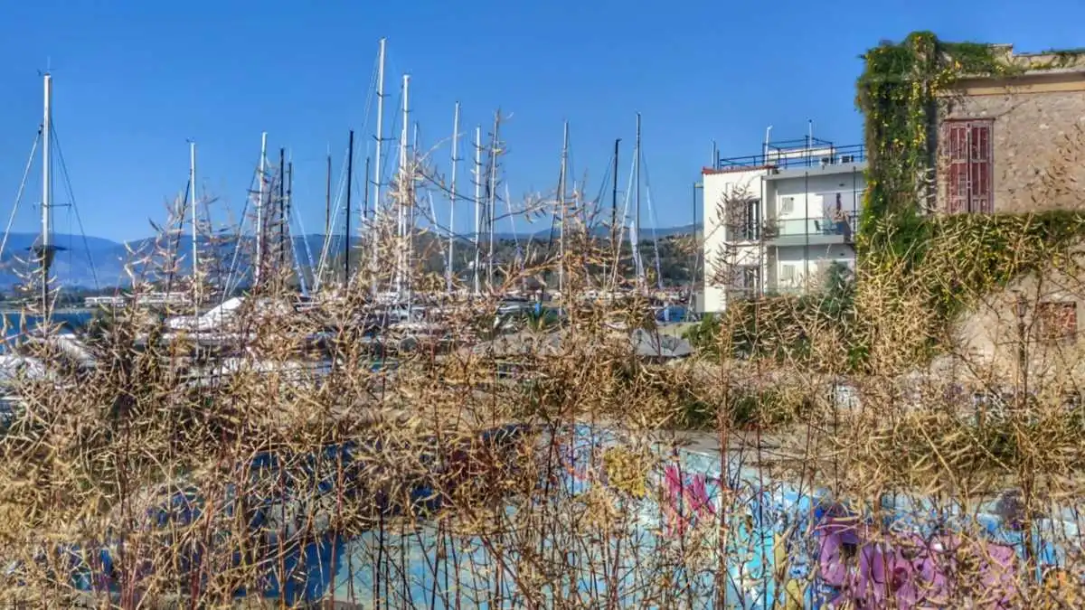Ναύπλιο: Αυτοψία στα ξερά χορτάρια. Όταν υποφέρει το πράσινο, υποφέρει και η καθημερινότητα