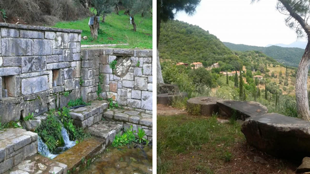 Μεσσηνία: Πεζοπορική και βιωματική δράση στα Ζερμπισια
