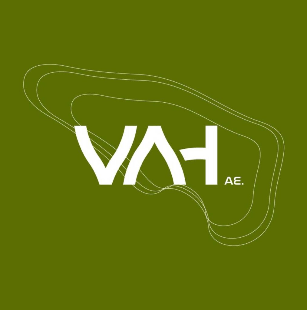 ΥΛΗ ΑΕ (ΤΣΟΚΑΝΗΣ) logo green