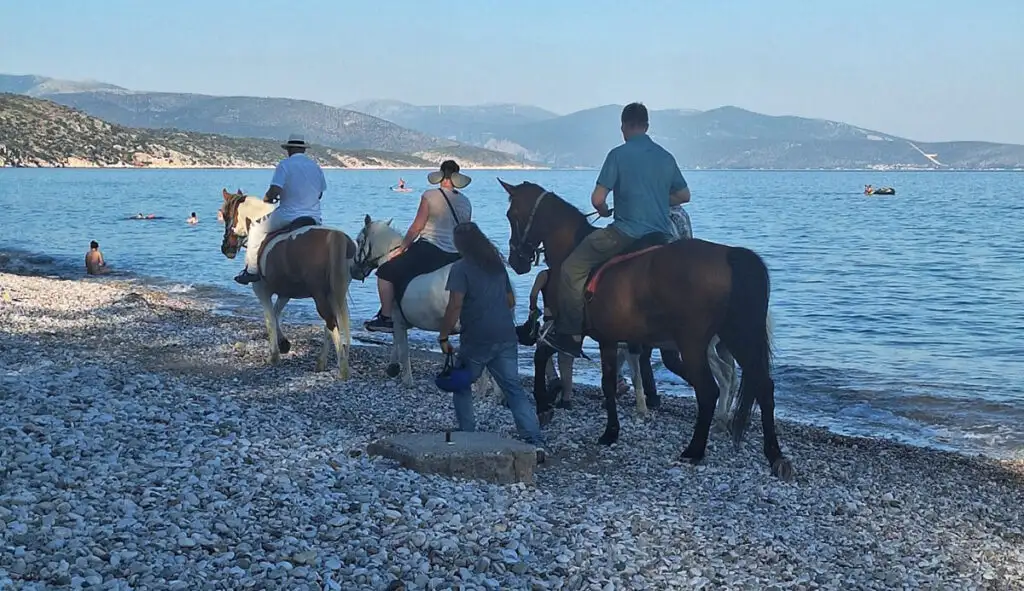 Άλογα στην Πλάκα Δρεπάνου