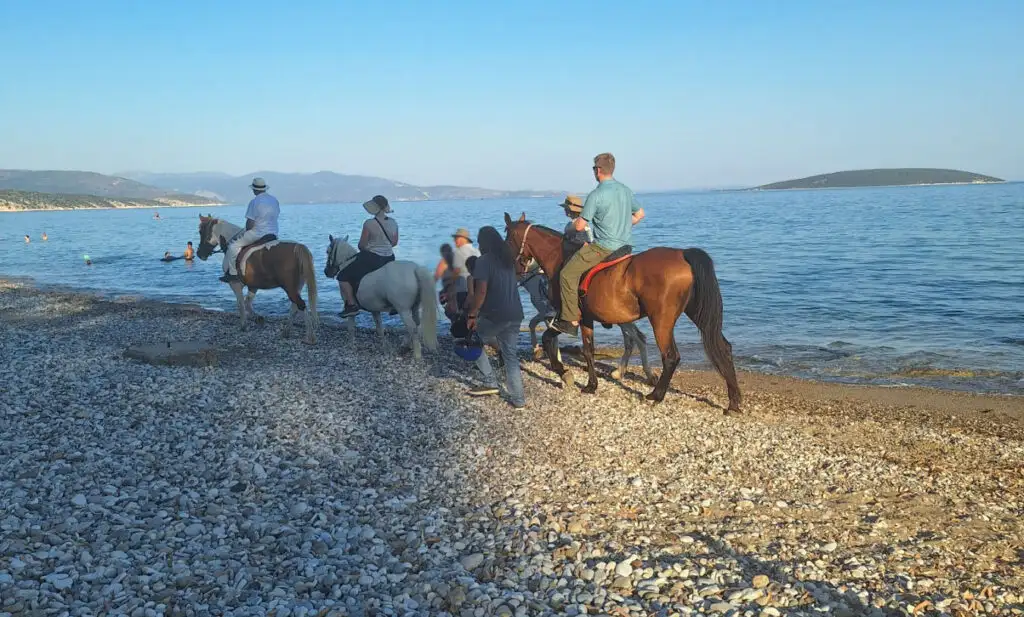 Άλογα στην Πλάκα Δρεπάνου