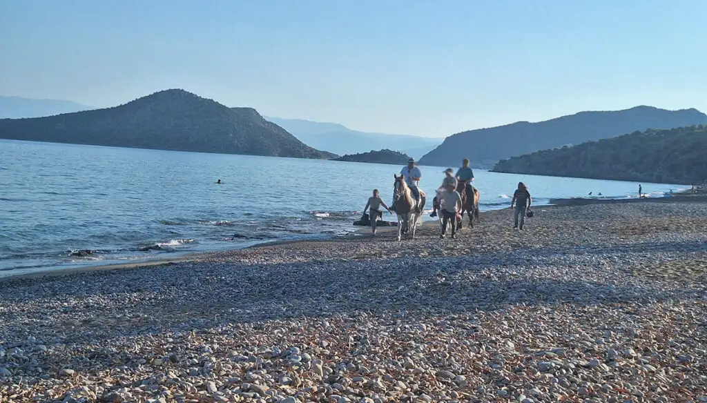 Άλογα στην Πλάκα Δρεπάνου