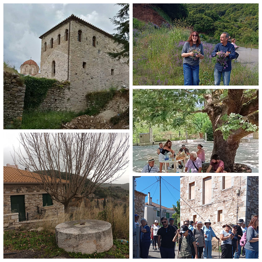 kontovounia kolaz