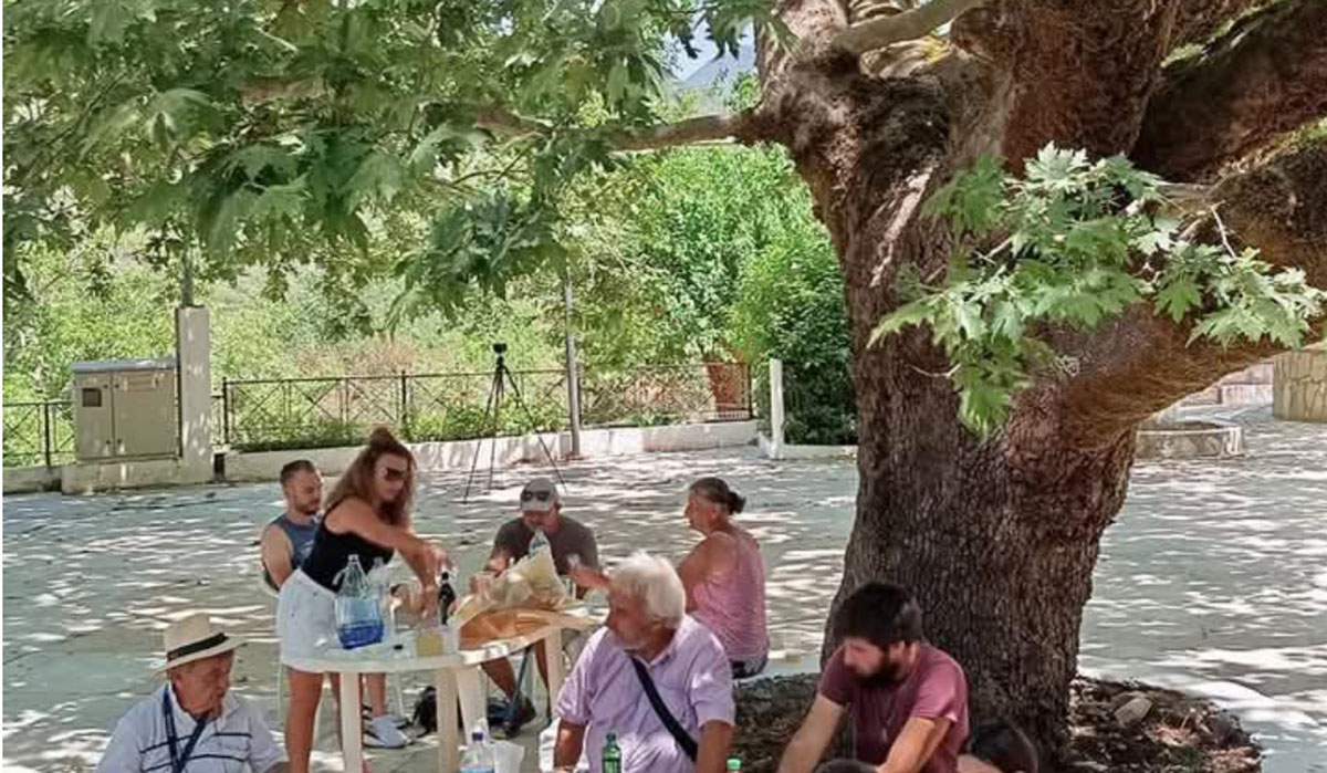 Κοντοβούνια Μεσσηνίας: Το αύριο γεννιέται στο χώμα του χθες