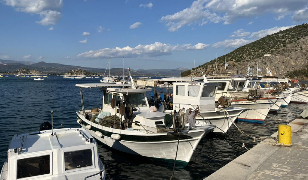 Ψαρόβαρκες στο Τολό