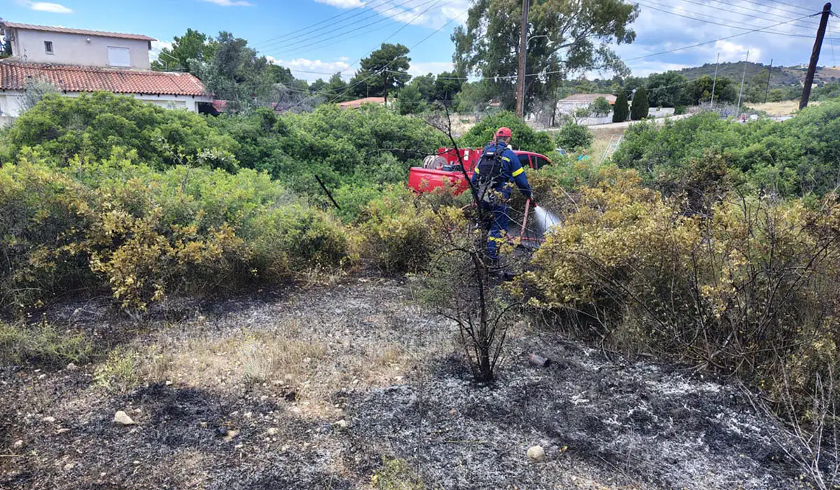 Ερμιόνη: Απέτρεψαν την εξάπλωση της φωτιάς αλλά ο κίνδυνος παραμονεύει