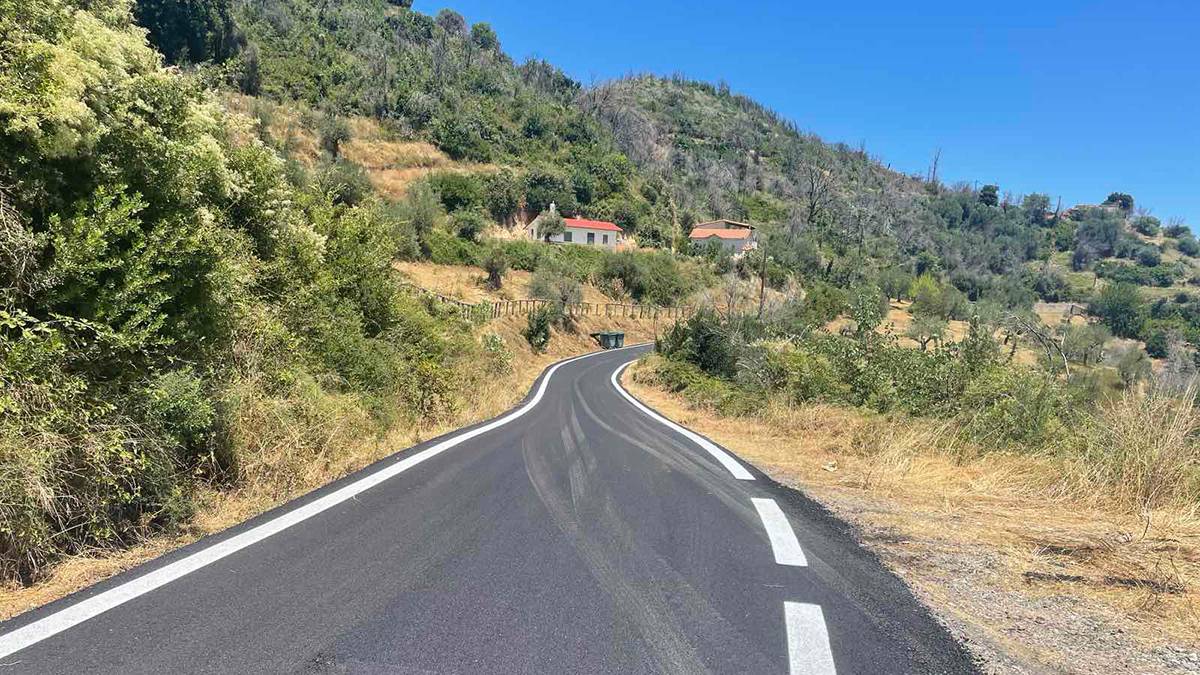 Ξεκινούν οι παρεμβάσεις σε κρίσιμες επαρχιακές οδούς της Αρκαδίας – Επένδυση 1 εκατ. ευρώ για την οδική ασφάλεια