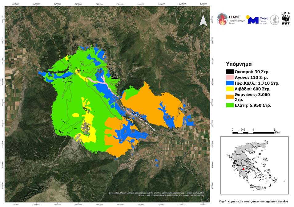 feneos vegetation affected meteo (1)