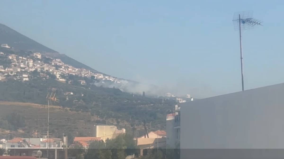 Φωτιά στη Λακωνία: Σε εξέλιξη η πυρκαγιά στο Λάχι – Εκκενώσεις μέσω 112, μεγάλη κινητοποίηση από ξηρά και αέρα